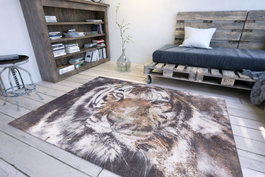 Conceptum Opus Chenille - Gray AL 321 (150 x 230 cm)